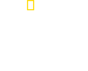 Tucci en Italia — Logos 2