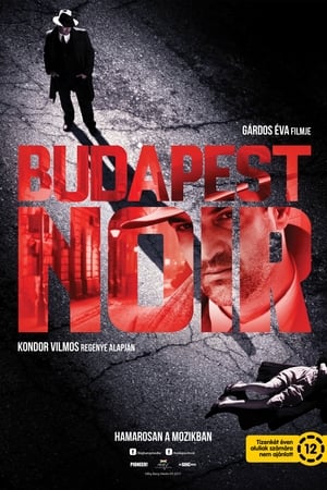 Budapest Noir poster