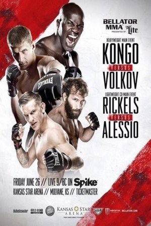 Bellator 139: Kongo vs. Volkov poster