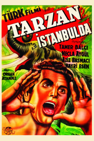 Poster Tarzan İstanbul'da 1952