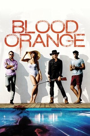 Poster Blood Orange 2016