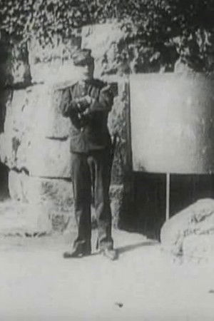 The Hierarchies of Love