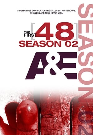 The First 48: Season 2