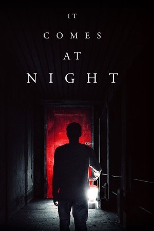 Poster It Comes at Night 2017