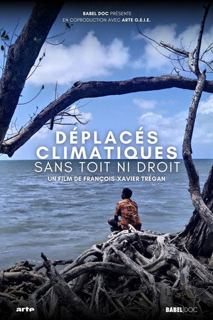 Climate Refugees: A Global Challenge (2024)