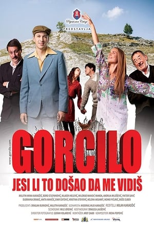 Poster Gorcilo - Did You Come to See Me? 2015