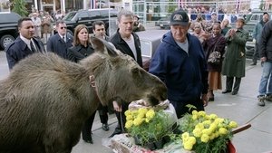 Welcome to Mooseport