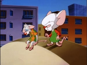 Pinky & der Brain: 2×12