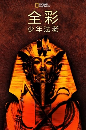 Poster King Tut In Color 2021