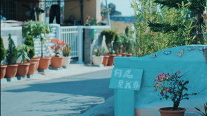 Hướng Về Sao Băng Cầu Nguyện