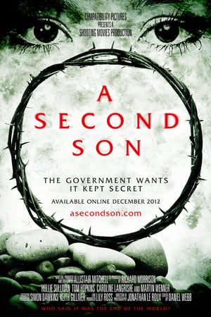 Poster A Second Son 2012