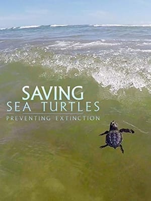 Poster Saving Sea Turtles: Preventing Extinction ()