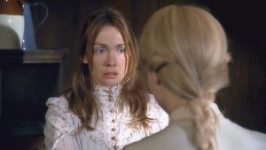 Love Takes Wing (2009)