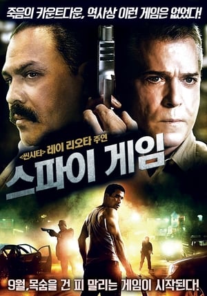 Poster 스파이게임 2013