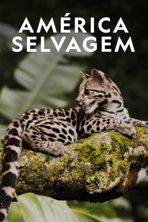 Image Wild Latam