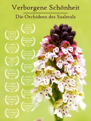 Verborgene Schönheit: Die Orchideen des Saaletals