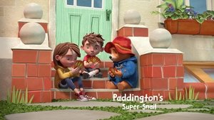 Paddington's Super Snail
