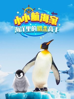小小航海家海洋里的猎杀高手