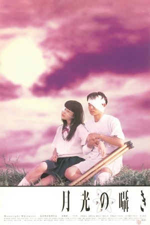 Moonlight Whispers