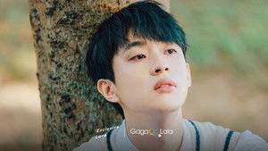 Exclusive Love: 1×7 {year} Online En Netflix