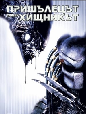 Poster Пришълецът срещу хищникът 2004