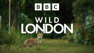 Wild London