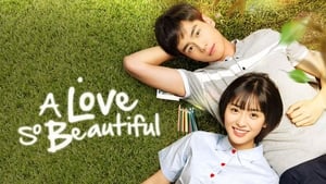 poster A Love So Beautiful