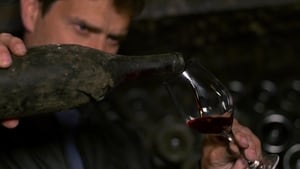 Somm: Into the Bottle (2015)