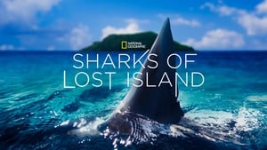 Sharks of Lost Island