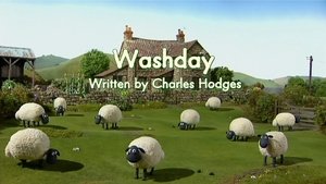 WashDay