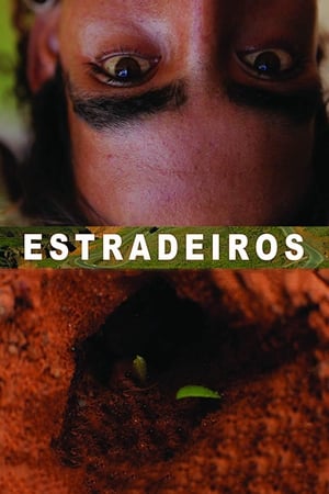 Poster Estradeiros 2011