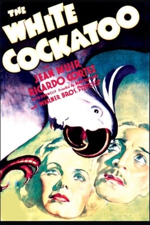Poster The White Cockatoo 1935