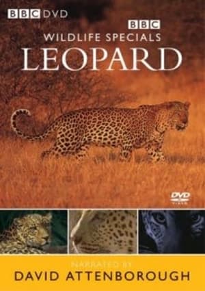 Poster Leopard: The Agent of Darkness 1997