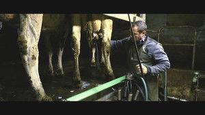 Violence dans les Champs