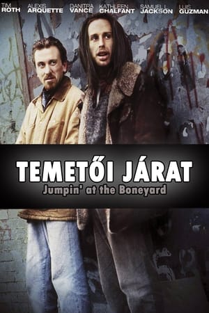 Temetői járat 1991