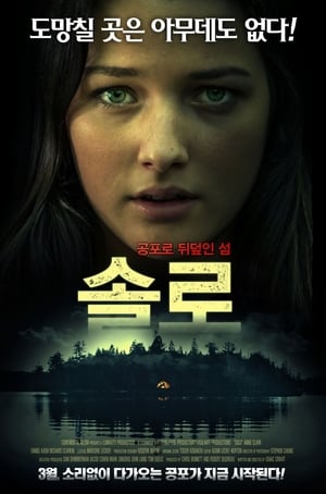 Poster 솔로 2013