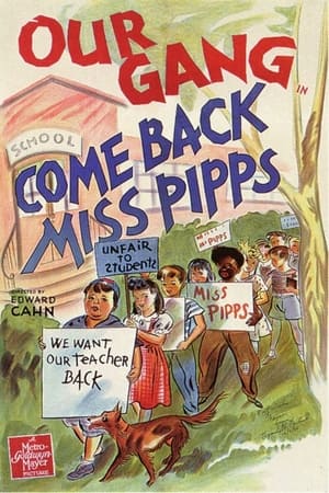 Come Back, Miss Pipps