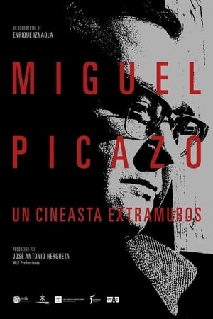 Image Miguel Picazo. Un cineasta extramuros