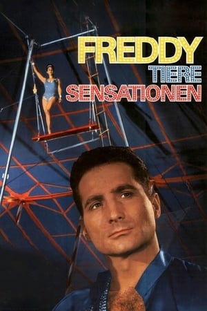 Poster Freddy, Tiere, Sensationen 1964