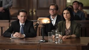 Bull: 1×16