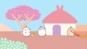 Molang: 4×26