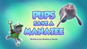 Image Pups Save a Manatee
