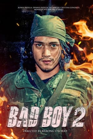 Poster Bad Boy II (1992)