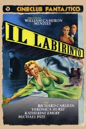 Poster Il labirinto 1953