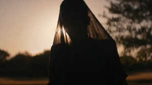 The Woman in the Yard (2025) วิปลาสหลอนตาย