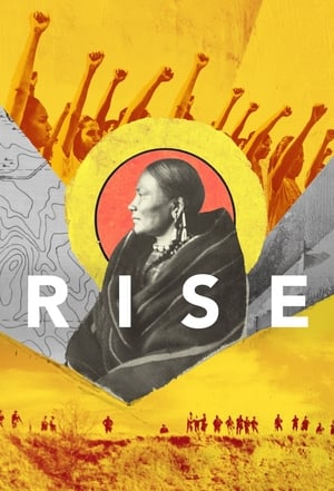 Poster Rise 2017