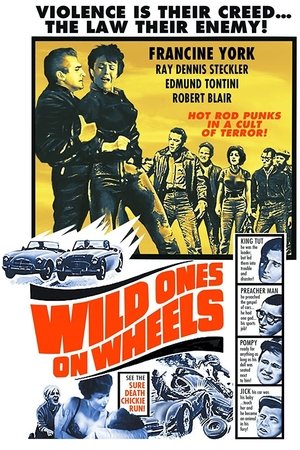 Wild Ones on Wheels 1962