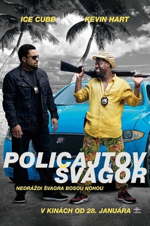 Poster Policajtov švagor 2016