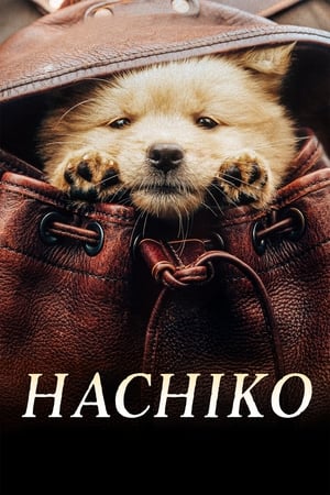 Image Hachiko