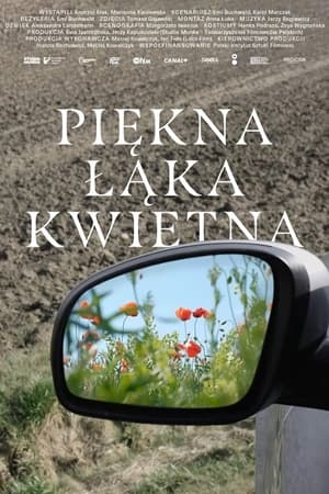 Image Piękna łąka kwietna